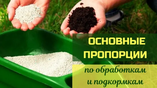 Все основные пропорции по подкормкам и обработкам!