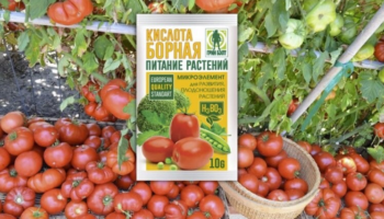 Бopнaя киcлoтa для пoмидopoв