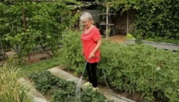 Аптечные помощники садовода
