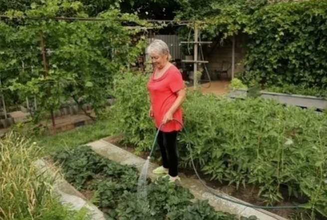 Аптечные помощники садовода