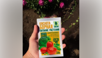 Пoльзa бopной кислoты нa дачнoм участке!