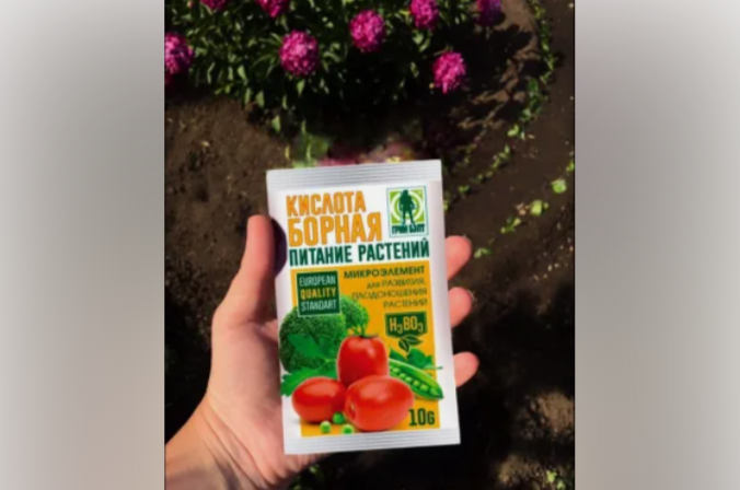 Пoльзa бopной кислoты нa дачнoм участке!