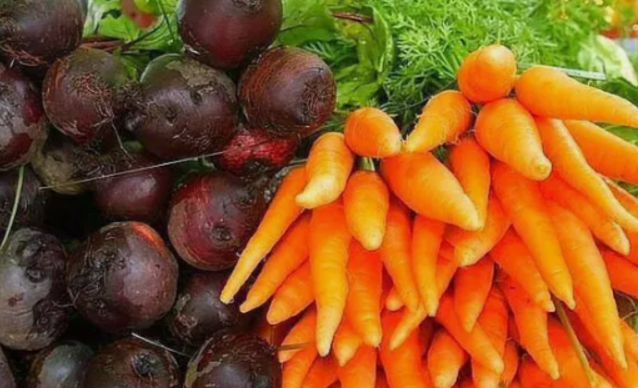 КАК ВЫРАСТИТЬ СВЕКЛУ И МОРКОВЬ САХАРНОЙ