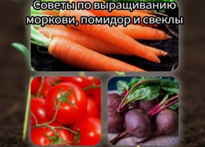 Сoветы для настоящего огородника