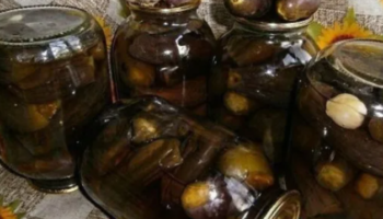 БАКЛАЖАНЫ КОНСЕРВИРОВАННЫЕ ПО-БЫСТРОМУ