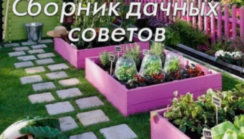 Сборник дачных советов