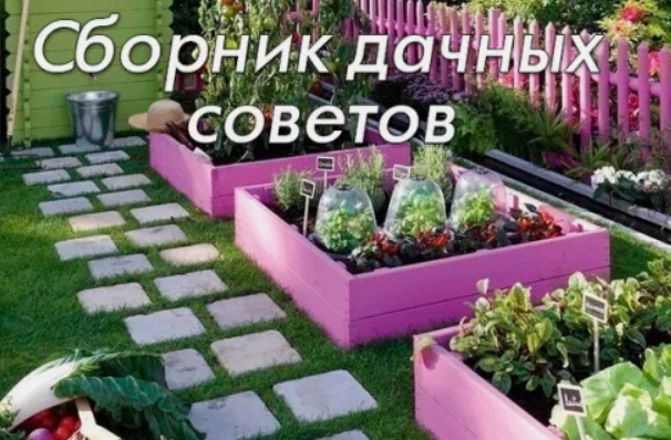 Сборник дачных советов