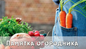 Памятка огородника