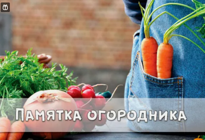 Памятка огородника