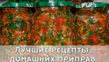 12 лучших рецептов домашних приправ.