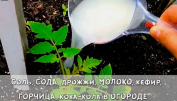 В помощь огородникам