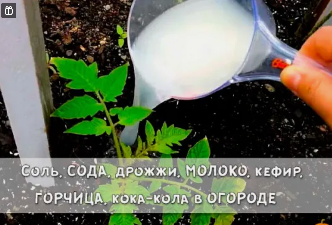 В помощь огородникам
