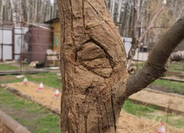 Замазка из земли