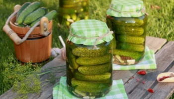 ОЧЕНЬ ВКУСНЫЕ, ХРУСТЯЩИЕ ОГУРЧИКИ