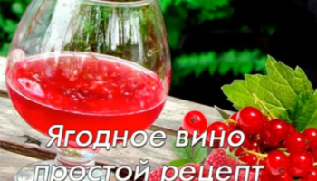 ЯГОДНОЕ ВИНО